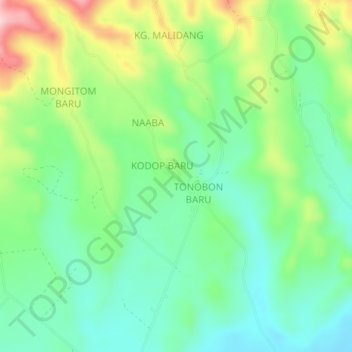 Carte topographique BUNGA RAYA, altitude, relief
