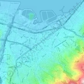 Carte topographique Bauchrieh, altitude, relief