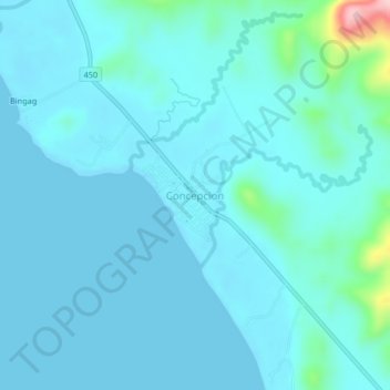Carte topographique Concepcion, altitude, relief