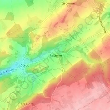 Carte topographique Haltinne, altitude, relief