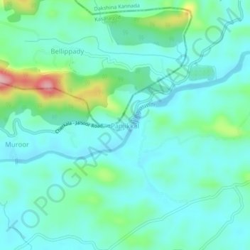 Carte topographique Panjikkal, altitude, relief