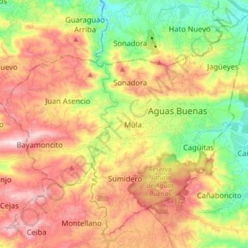 Carte topographique Aguas Buenas, altitude, relief